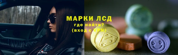 сатива Липки