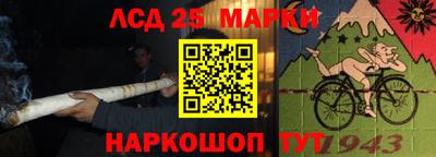 Альфа ПВП Пушкино