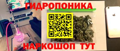 Альфа ПВП Пушкино