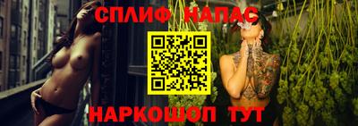 Альфа ПВП Пушкино