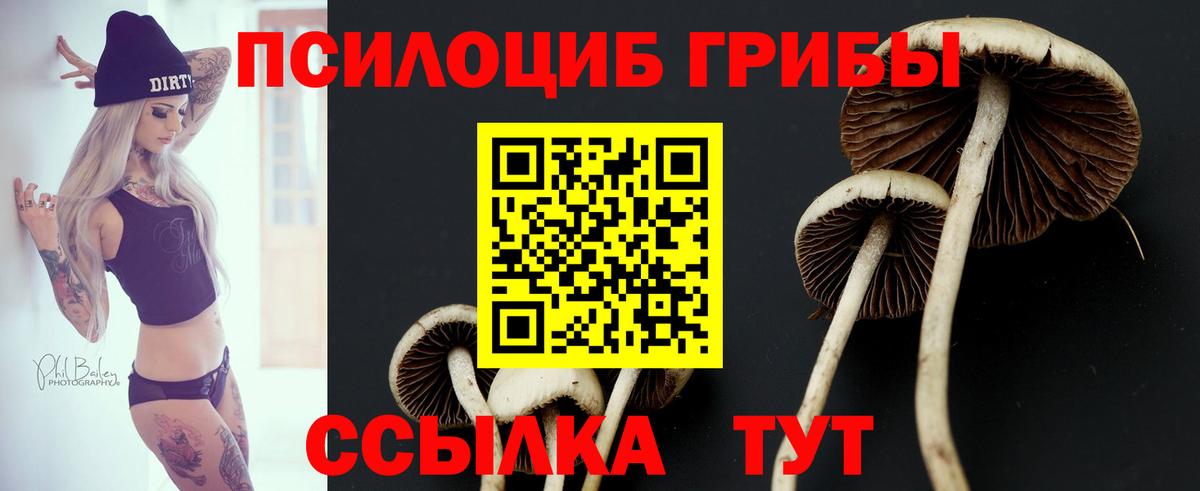 Галлюциногенные грибы мухоморы Сарапул
